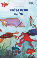 שמיכת הפלאים של נועם